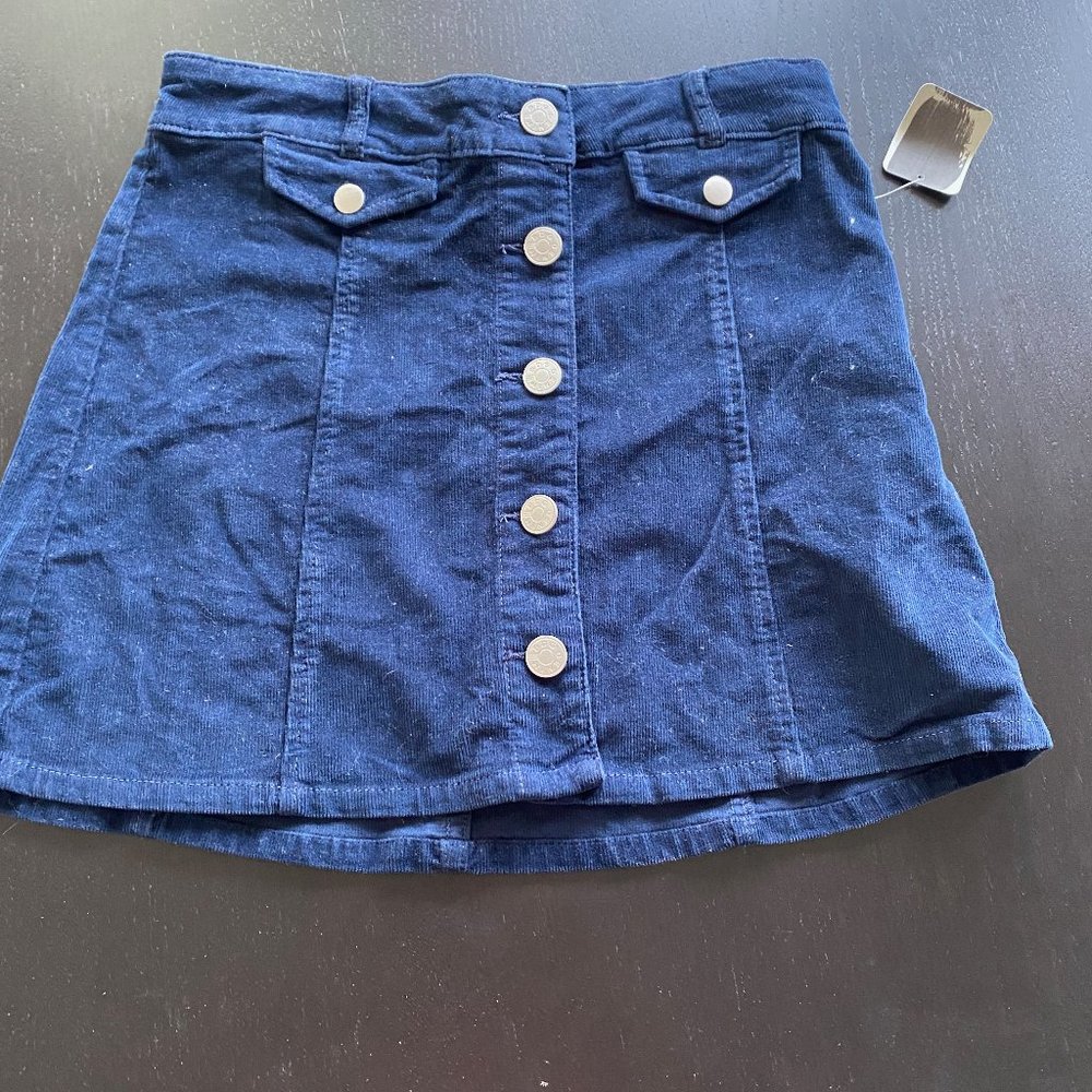 BDG/Urban Outfitters - Size 4 Blue Corduroy Skirt